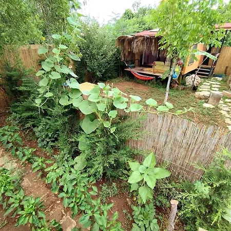 Casa de Férias Tiny House Ceviz Kayakoey Jungle Fethiye