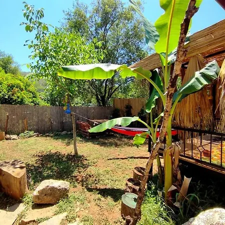 Tiny House Ceviz Kayakoey Jungle Casa de Férias