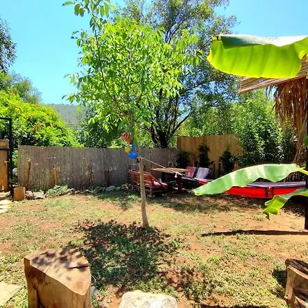 Tiny House Ceviz Kayakoey Jungle Casa de Férias Fethiye