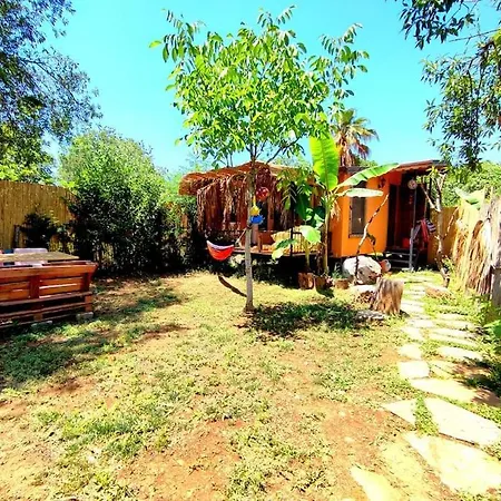 Tiny House Ceviz Kayakoey Jungle *